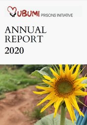 Årsrapport 2020 (EN)